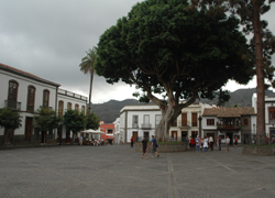 plaza_del_pino