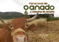 FeriaGanado_FiestaAgua2013_web