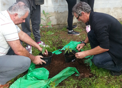 plantacion_ies_2