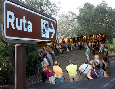 ruta