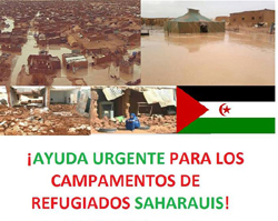 catel_recogida_medicamentos_web