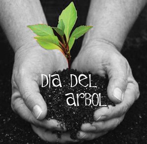 05_dia-del-arbol