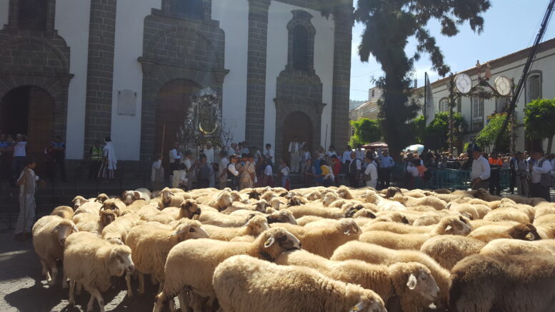romeria0