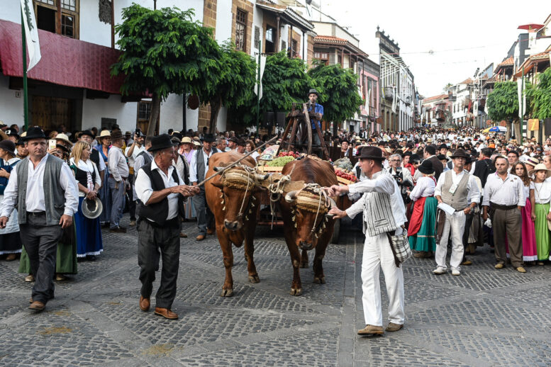 romeria7