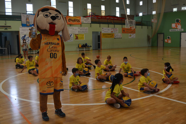 20_clinic_basket_2