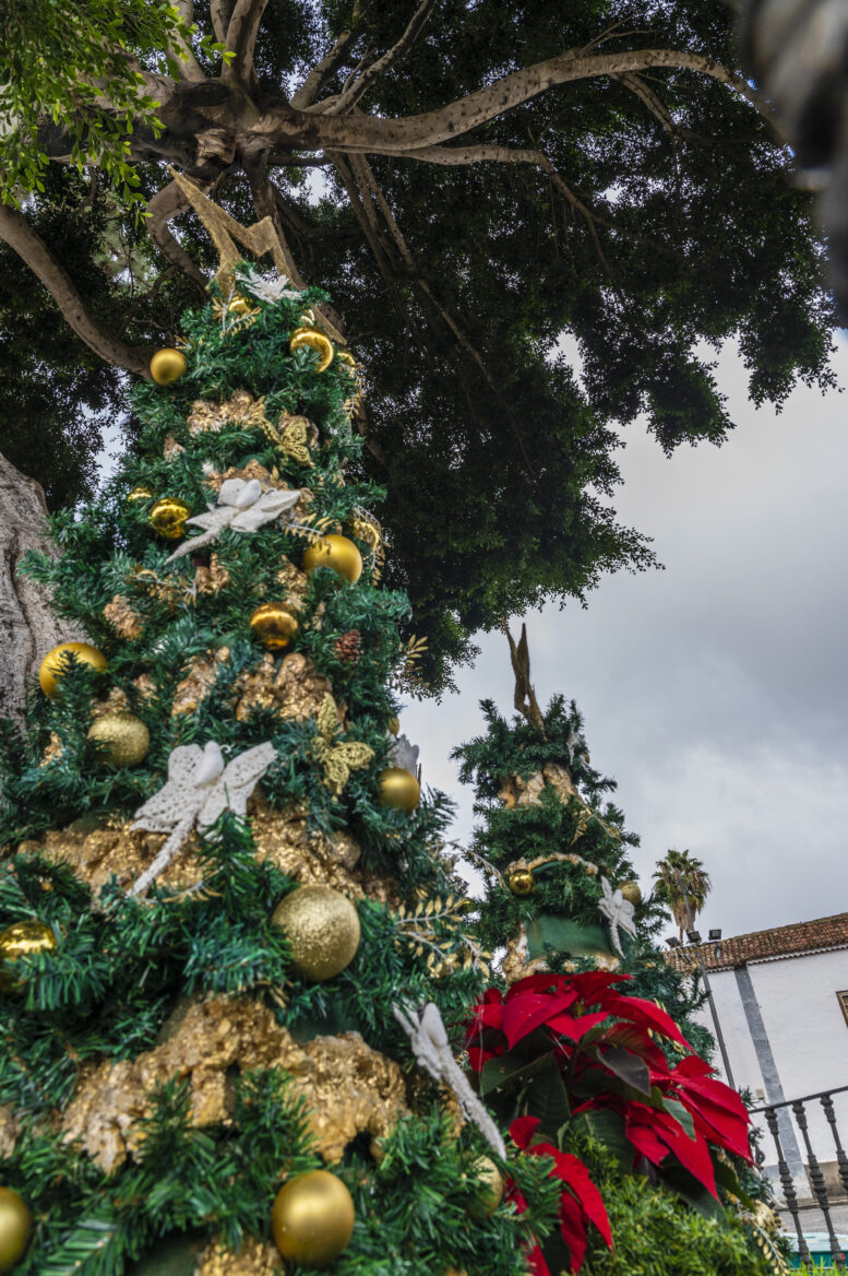 decoracion_24