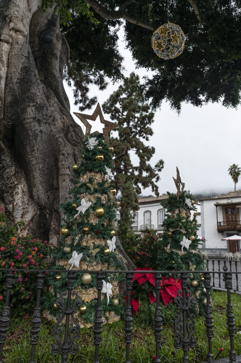 teror_19