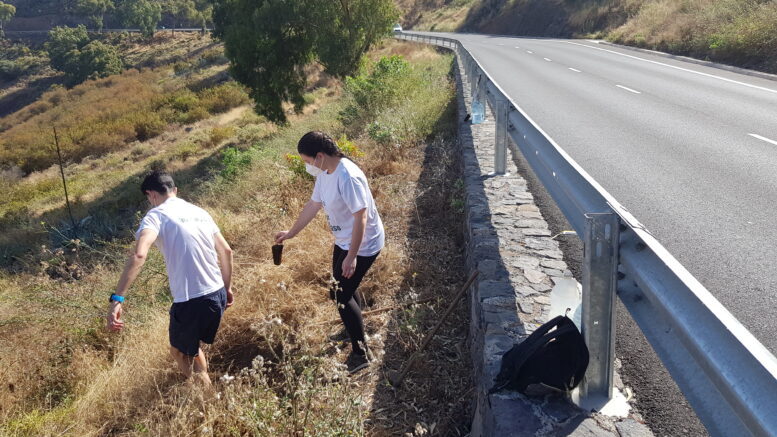 GC-21_plantacion18