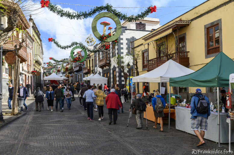 domingo_3-watermarked