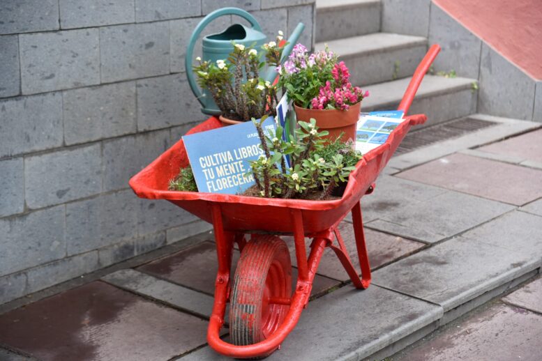 PLAZA-DE-LOS-LIBROS-202252