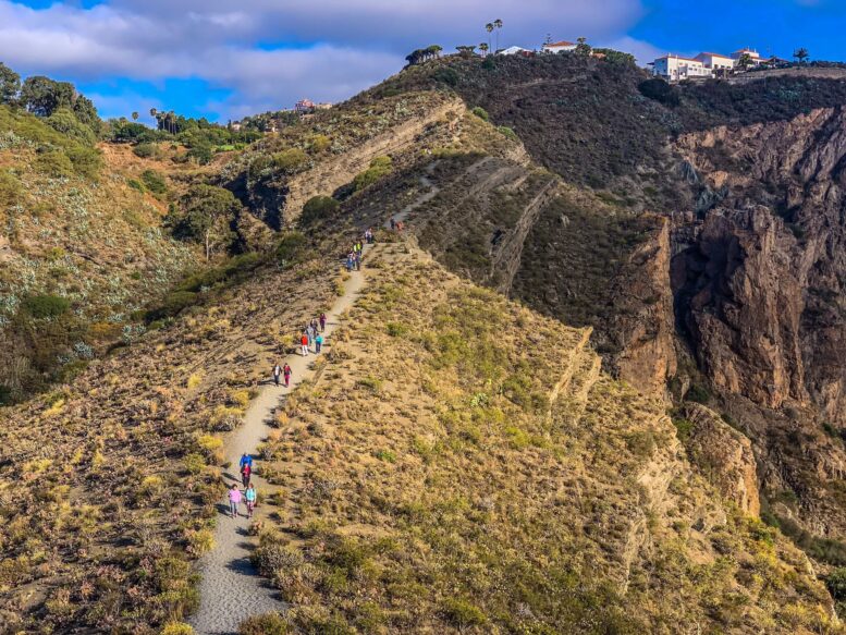 Teror-Patea_Ruta-Caldera-Bandama13