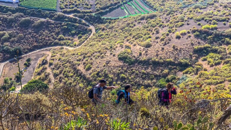 Teror-Patea_Ruta-Caldera-Bandama14