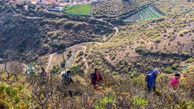 Teror-Patea_Ruta-Caldera-Bandama15