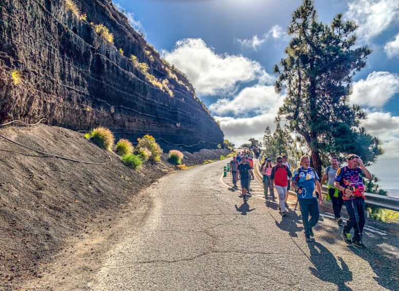 Teror-Patea_Ruta-Caldera-Bandama16