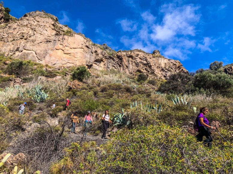 Teror-Patea_Ruta-Caldera-Bandama22