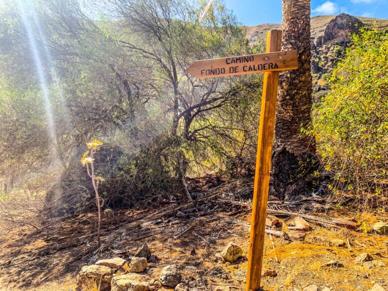 Teror-Patea_Ruta-Caldera-Bandama24