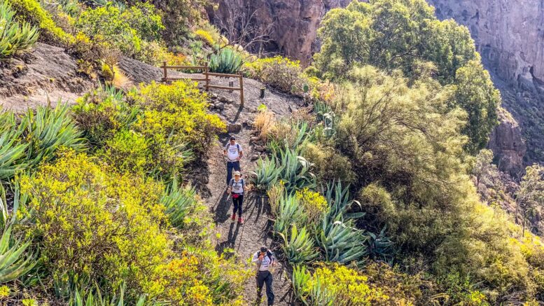 Teror-Patea_Ruta-Caldera-Bandama27