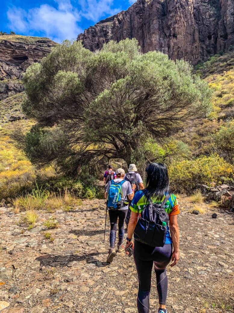 Teror-Patea_Ruta-Caldera-Bandama30