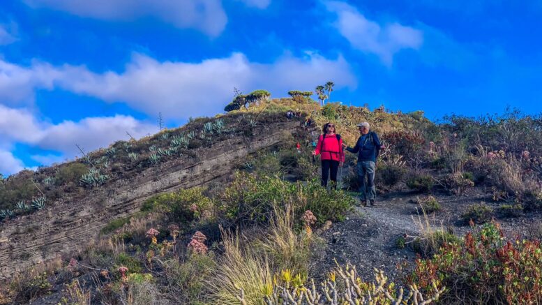 Teror-Patea_Ruta-Caldera-Bandama5