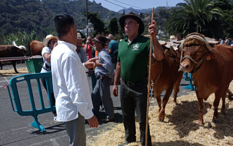 06_muestra_ganadera