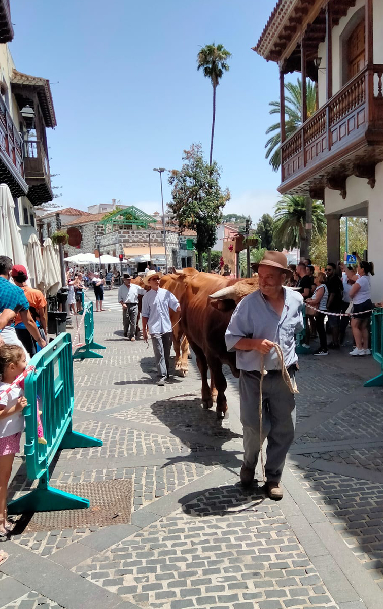 19_muestra_ganadera