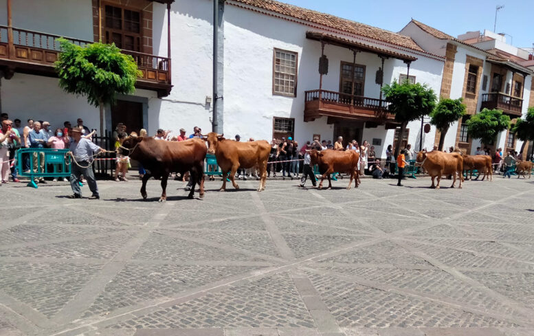 22_muestra_ganadera