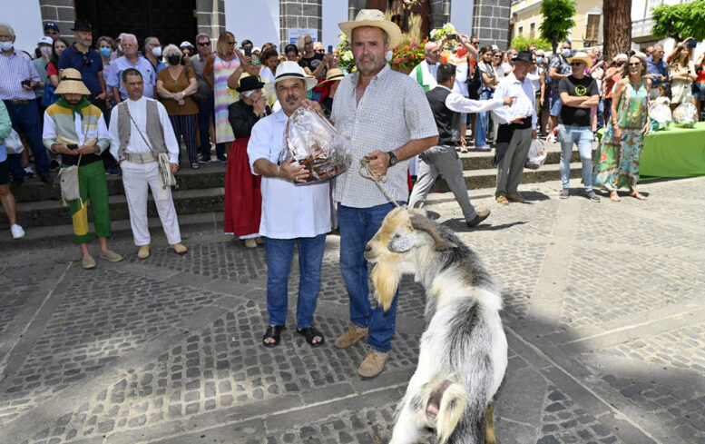 34_muestra_ganadera