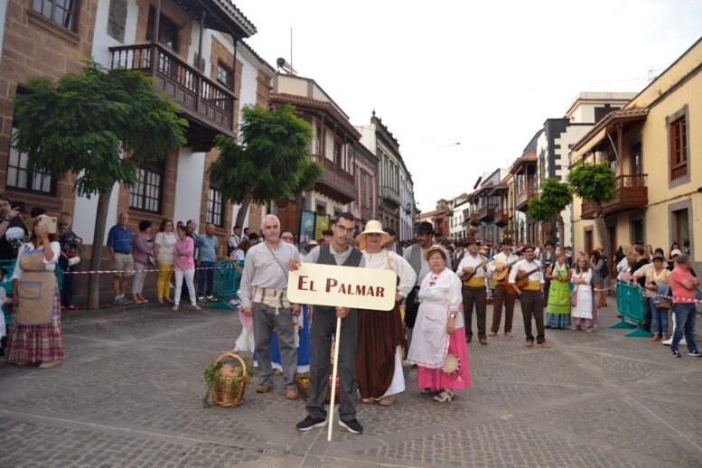 elpalmar