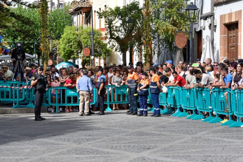 08_Dia-del-Pino58