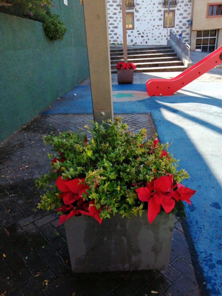 3e727f7e-08cb-43d7-8a67-5f82e46e5633