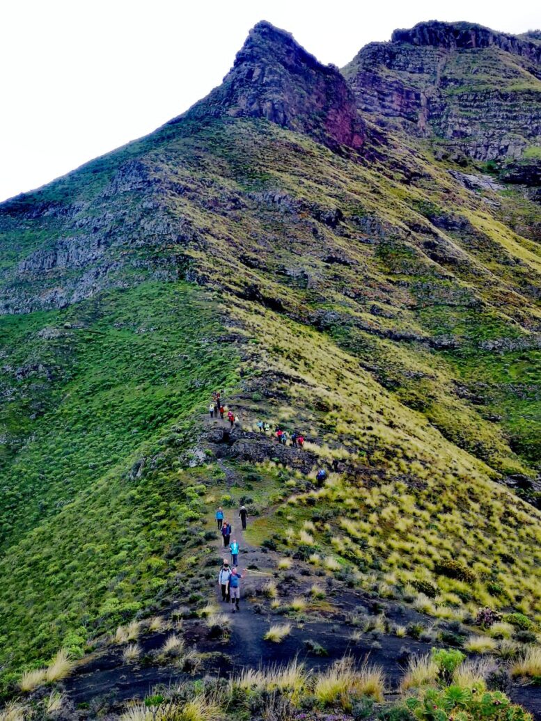 02_Ruta-Tamadaba-Agaete16