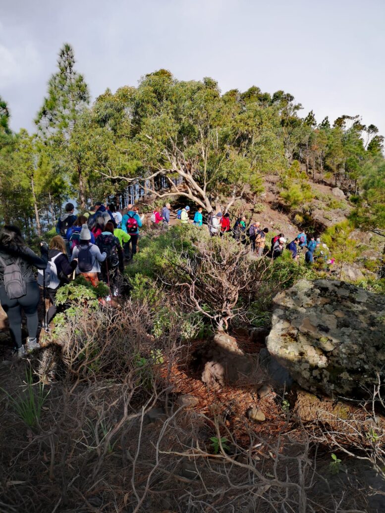 02_Ruta-Tamadaba-Agaete6