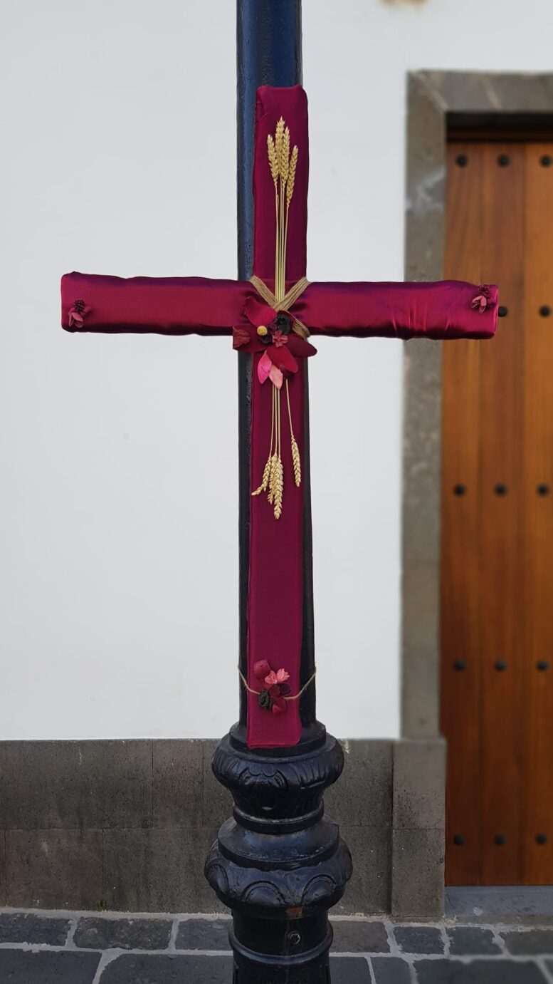 03_CRUCES-20237