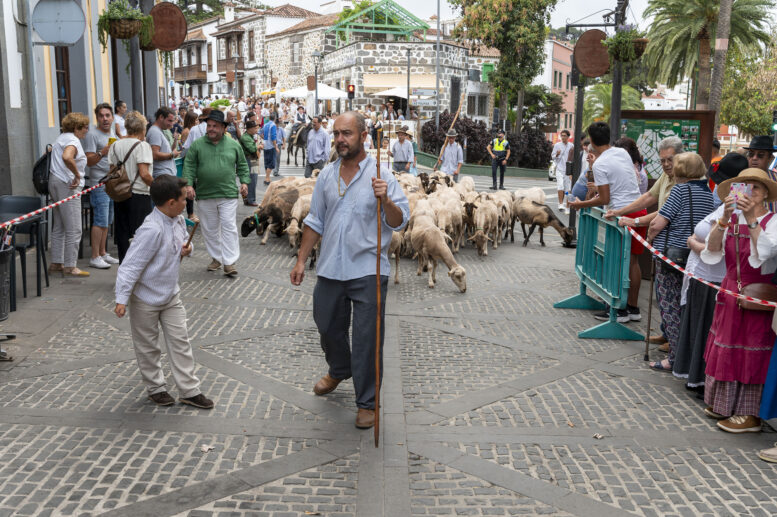 03_Romeria_65-watermarked