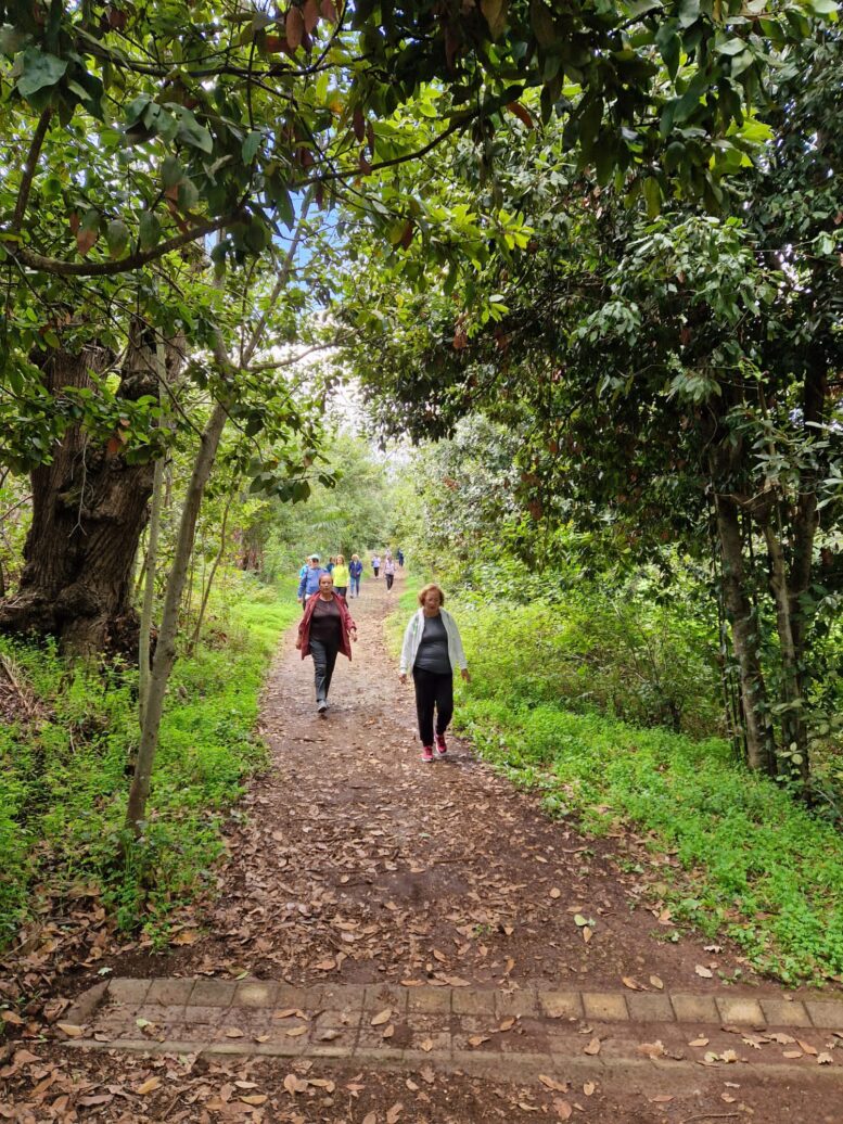 08_Paseos-naturaleza16