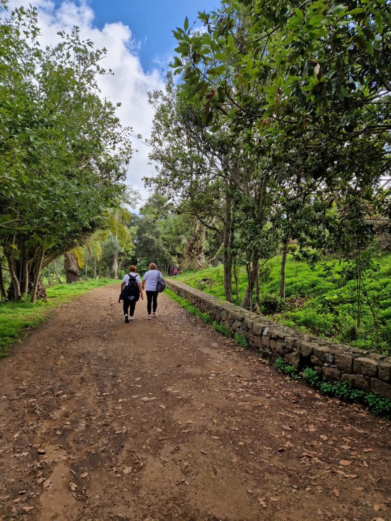 08_Paseos-naturaleza18