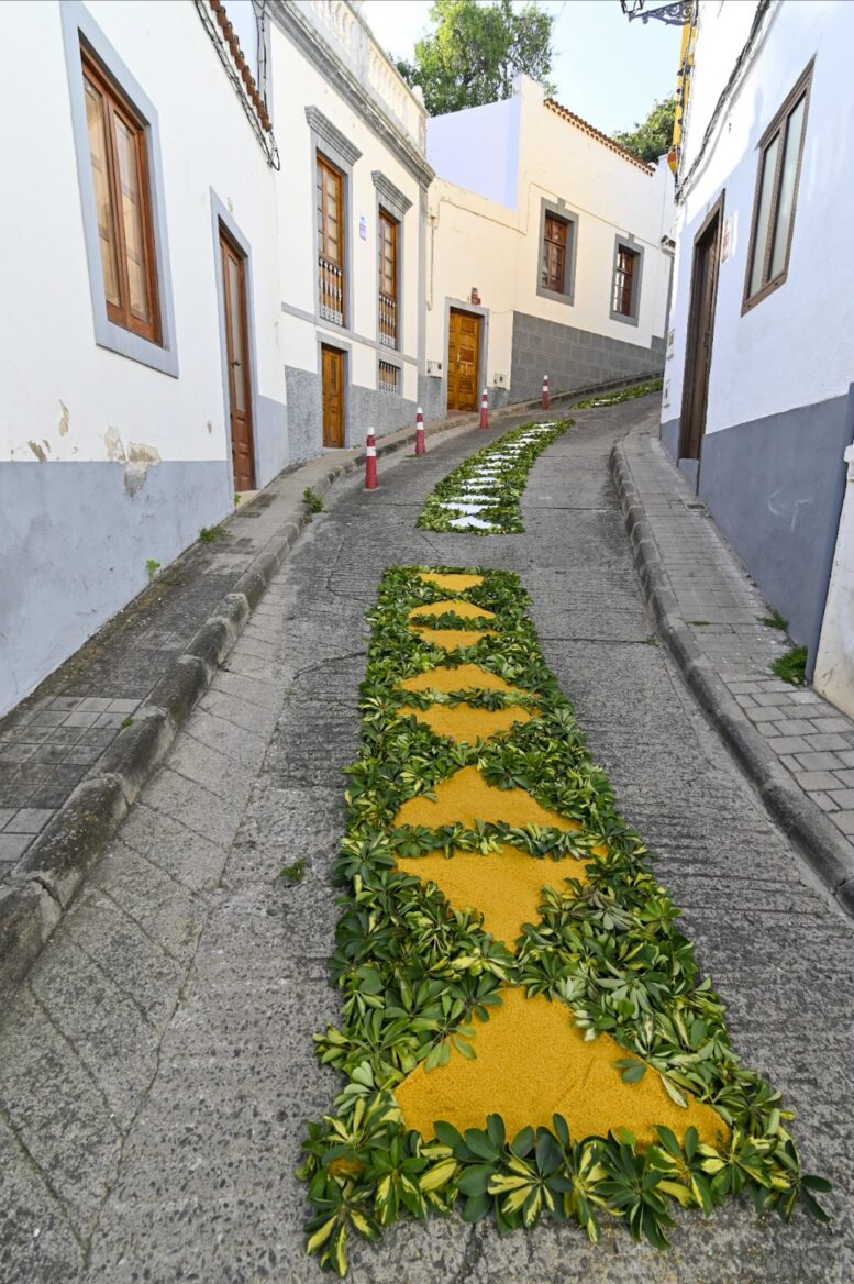 ALFOMBRAS-CORPUS-202432