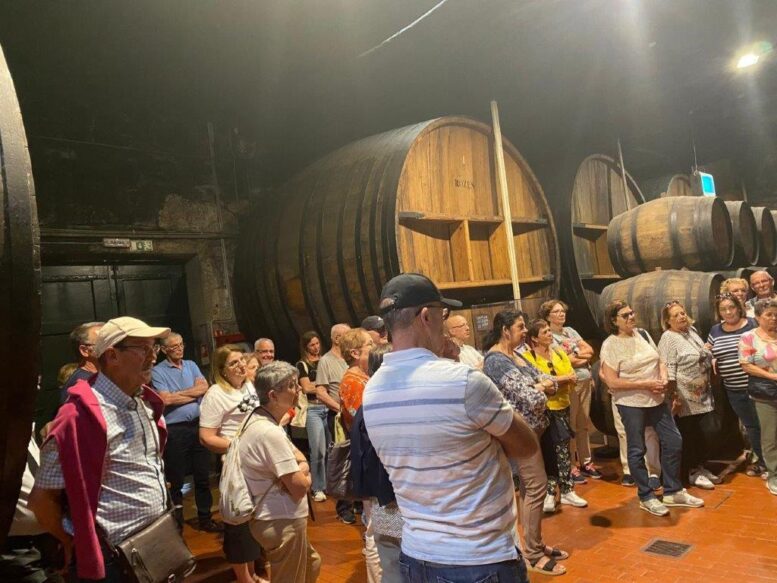 Bodega oporto 2