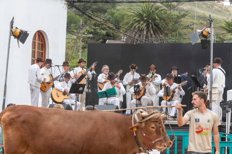 Fiestas-Sa-Jose-Alamo13