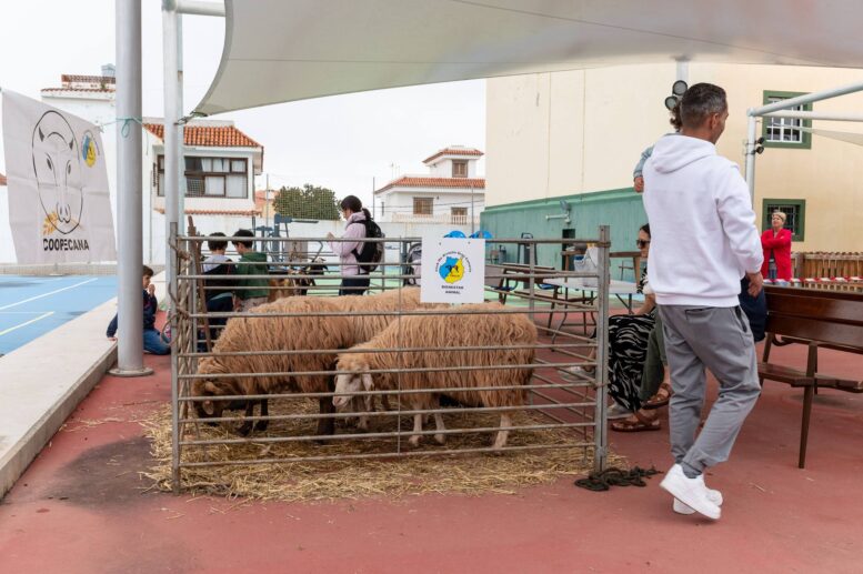 Fiestas-Sa-Jose-Alamo17