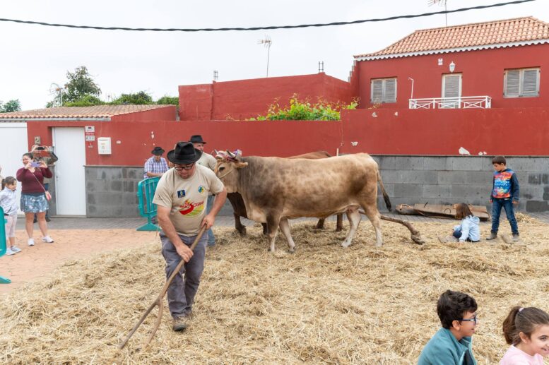 Fiestas-Sa-Jose-Alamo2