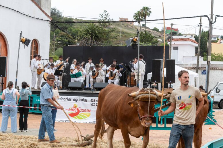 Fiestas-Sa-Jose-Alamo4