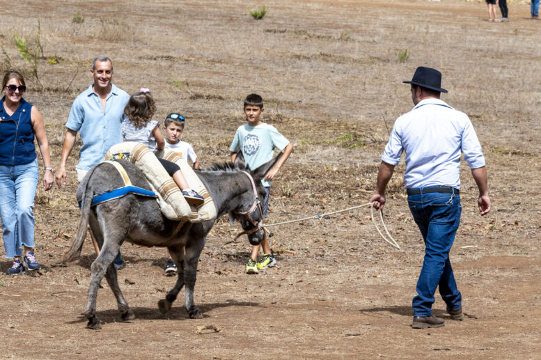 FERIA DE GANADO_145-watermarked