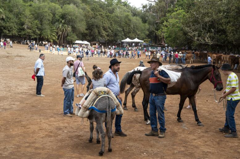 FERIA DE GANADO_159-watermarked