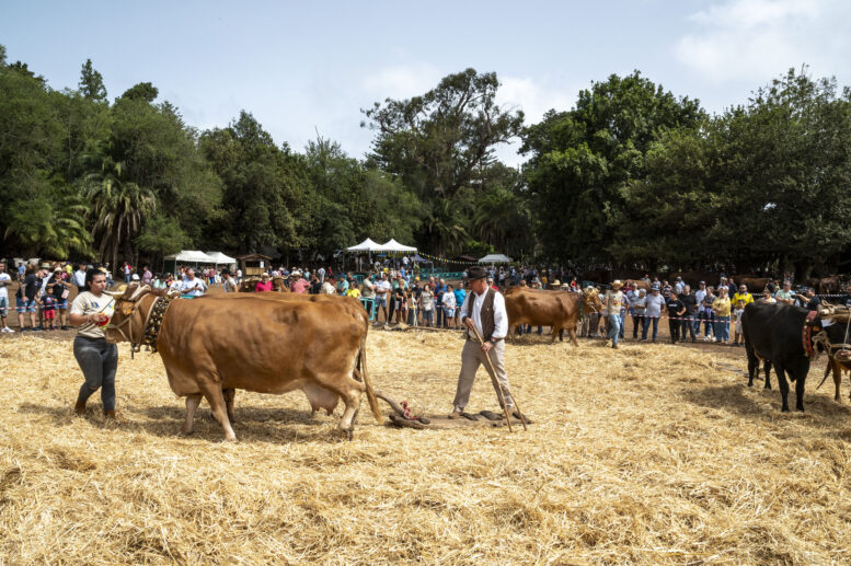 FERIA DE GANADO_173-watermarked