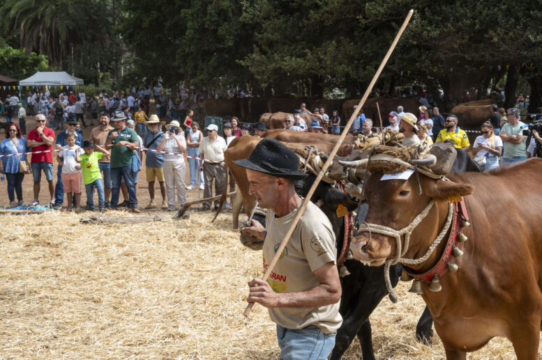 FERIA DE GANADO_175-watermarked