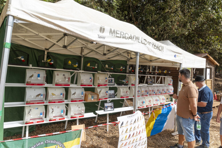 FERIA DE GANADO_19-watermarked