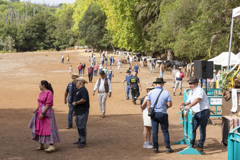 FERIA DE GANADO_22-watermarked