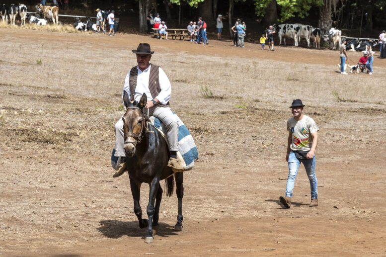 FERIA DE GANADO_253-watermarked