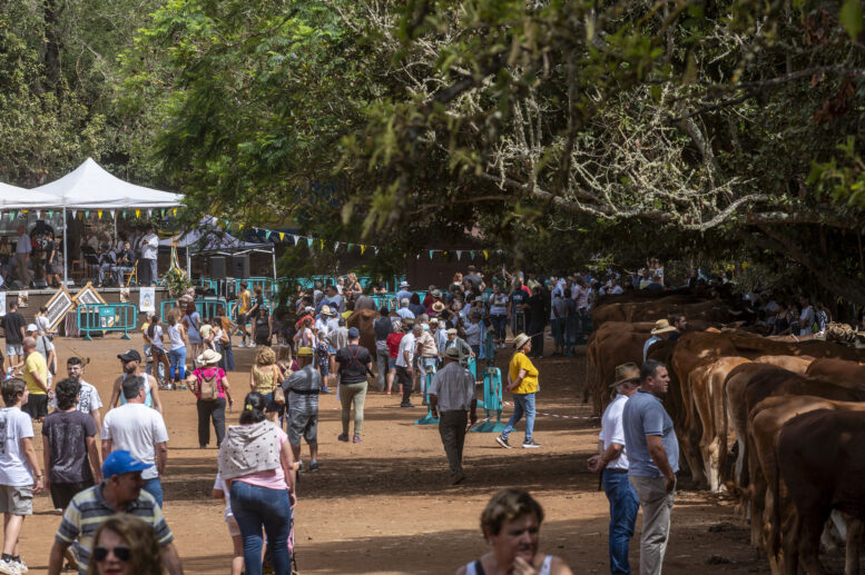 FERIA DE GANADO_262-watermarked